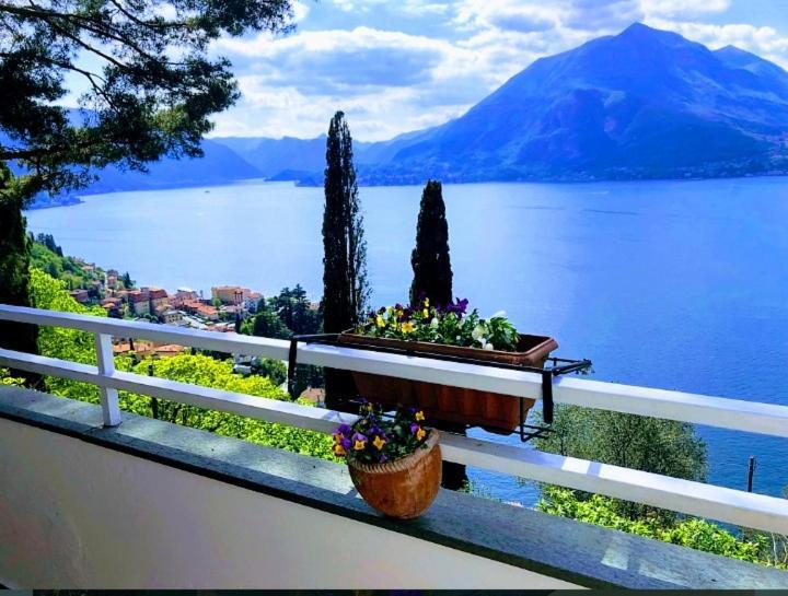 Varenna Wonders, Villa With Pool For 14 Guests Perledo Eksteriør bilde